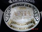 Ocenění z AQHA za rok 2006